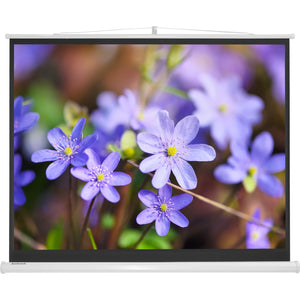 Pantalla De Proyeccion Manual Con Tripie 72 Pulgadas