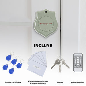 Chapa Cerradura Electrica Control Rfdi Acceso Inteligente