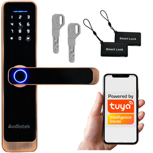 Cerradura Wifi Chapa Digital Inteligente App Seguridad