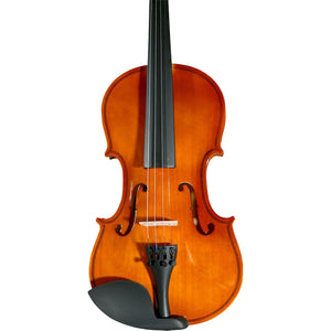 Violín Acústico 4/4 Incluye Arco, Brea y Estuche Color Madera