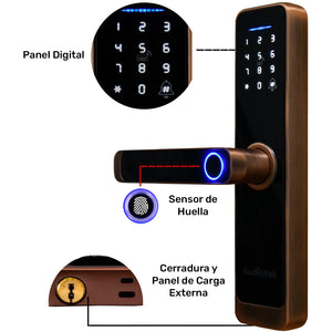 Cerradura Wifi Chapa Digital Inteligente App Seguridad
