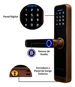 Cerradura Wifi Chapa Digital Inteligente App Seguridad