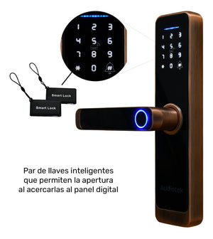 Cerradura Wifi Chapa Digital Inteligente App Seguridad