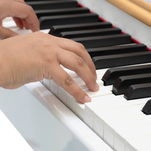 Piano Teclado Electrico 88 Teclas Digital 15v 3a 900 Ritmos